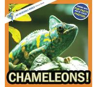 Chameleons!: A My Incredible World Picture Book for Children