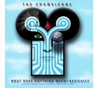 Chameleons,the - What Does Anything Mean?Basica
