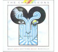 Chameleons Uk - What Does Anything Mean? Basically