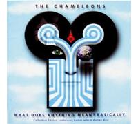CHAMELEONS - WHAT DOES ANYTHING MEAN BASICALLY - CD - K72z