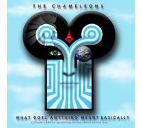 Chameleons - What Does Anything Mean? Basically Import Edition by Chameleons (2010) Audio CD
