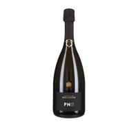 Champagne Blanc de Noirs 'PN TX20' Bollinger