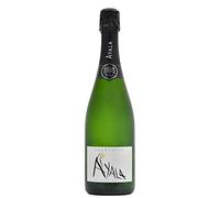 Champagne Brut -Ayala- Majeur Extra Age 750 ml (1)