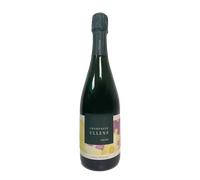 Champagne Extra Brut 'Casse Tete' Ullens - Domaine de Marzilly 2021