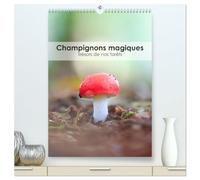 Champignons magiques - Trésors de nos forêts (Calendrier mural 2026 DIN A2 horizontal) calendrier de bureau: Découvrez la diversité fascinante des ... notre calendrier " Champignons magiques ".