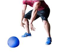 Champion Barbell Reactor Smash Ball 15Pound