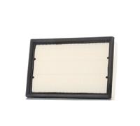 Champion Autoparts Filtro aria CAF100867P Cartuccia per Land Rover Freelander 2