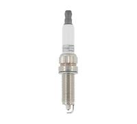 Champion Candela oe203