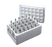 Champion, candele. RN12YC, confezione da 24 75-E82 FL; 75-79 FX; 84-99 Evo Bi...
