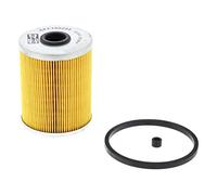 Champion Filtro Carburante Cff100255