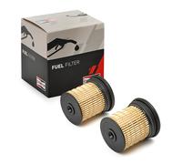 Filtro Carburante Alta Qualità Champion Jeep & Multimarca CFF100721