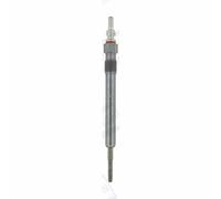 Champion ch705 Candeletta Candelette