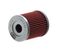 Filtro olio CHAMPION HF132 COF032