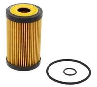 Champion COF100521E Blocco Motore