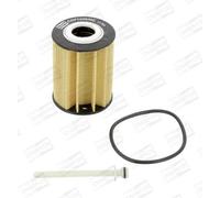 Champion COF100636E Blocco Motore