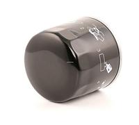 Champion COF102137S Blocco Motore