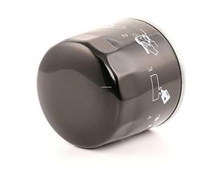 Champion COF102137S Blocco Motore