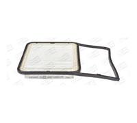CHAMPION Inserto Filtro Aria Adatto A per Daihatsu Terios Materia CAF100917P