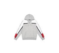 Champion Legacy Retro Sport (220331) -Soft Compact Poly Fleece Felpa con Cappuccio, Grigio Melange/Bianco (NOXM/Wht/NNY), L Uomo