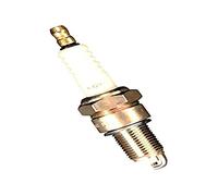 CHAMPION OE015/T10 Candela Agri-Moto-Marina EX N12YC