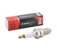 CHAMPION OE025/T10 Candela accensione