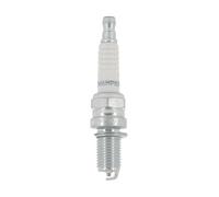 Champion OE083 Candele di Accensione Doppio Platino RA6HC