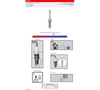 CHAMPION OE231 S-PLUG REA6YC BETA RR 430 EFI 2017