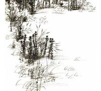 CHAMPLIN, BILL - JANUARY -JAP CARD-