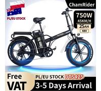 ChamRider DTS425 Ebike 48V25AH Batteria Portata 125KM Potenza 750W Scelta di valore migliore per ciclisti europei per la consegna di cibo Bici elettrica