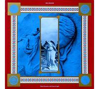 Chance encounters in the garden of lights / Vinyl record [Vinyl-LP]