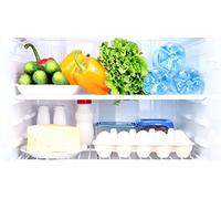 Chance SAS 300 Sacchetti Freezer 28x42 cm + 720 Sacchetti 22x32 cm per Congelatore, Monouso, Silicone, Zip