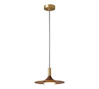 Chandelier Light, Black Chandelier - Flying Saucer Light Dining Room Bedroom Bedside Lamp Wooden Pendant Light Hallway Wine Cellar Exquisite Hanging Lamp(30CM)