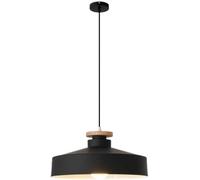 Chandelier Light Ceiling Hanging Lamp Droplight Fixture Nordic Minimalist Industrialaron Color Fashion Cafe Mall Decorative Single Lamp with E27/Black/40 * 18Cm(Black,40 * 18Cm)