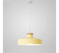 Chandelier Light Ceiling Hanging Lamp Droplight Fixture Nordic Minimalist Industrialaron Color Fashion Cafe Mall Decorative Single Lamp with E27/Black/40 * 18Cm(Beige,35 * 18Cm)