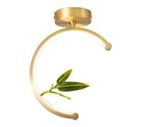 Chandelier Light, Gold LED Ring Chandelier - Semi Flush Mount Lighting Fixture Compatible with Hallway, Porch Corridor Foyer And More (Color : Rojo)(Green)