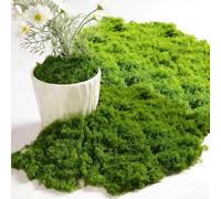 ChaneeHann 200g Muschio Stabilizzato Verde Scuro e Verde Chiaro 100g ciascuno, Muschio Finto per Decorazioni per Pareti, Camerette, Acquari, Modellismo, Piante Artificiali, Decorazione Casa