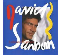 Change of Heart by David Sanborn (2014-11-12)