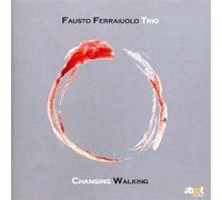 Changing Walking - Fausto Ferraiuolo Trio (Audio cd)
