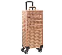 CHANNCASE Valigetta portatile 4 in 1 con treno per trucco portatile per cosmetici professionale organizer da viaggio per trucchi trolley trolley, Oro rosato, Bagaglio Espandibile Hardside Centrale Con