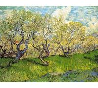 Chaozhirui Kit di ricamo a punto croce fai da te Kit per ricamo Apocalisse dell'angelo dipinto a olio religioso Kit punto croce in cotone 11CT 40x50cm
