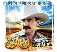 Chapo - Grandes Exitos Con Banda: Porq