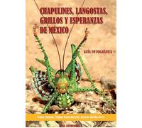 Chapulines, langostas, grillos y esperanzas de Mexico-Grasshoppers, locust...