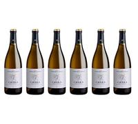 CHARÁ Terre D'Otranto DOC 2022 Chardonnay - Bianco fresco ed elegante con note di fiori bianchi e frutta tropicale - 13% Vol - 6 Bottiglie da 750 ml - Ideale con risotti e pesce