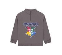 Character Felpa con zip di Harry Potter Hogwarts 134140cm Grigio