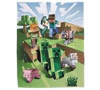 Character World Minecraft - Coperta in pile corallo, 160 x 200 cm, Minecraft, statuette di fan per bambini, adolescenti e adulti