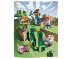 Character World Minecraft - Coperta in pile corallo, 160 x 200 cm, Minecraft, statuette di fan per bambini, adolescenti e adulti