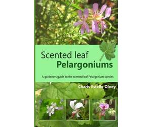 Charis Estelle Olney Scented leaf pelargoniums (Tascabile)