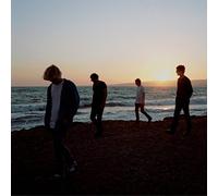 Charlatans The - Modern Nature