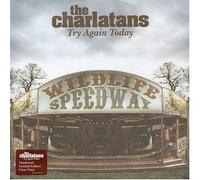 Charlatans, the - Try Again Today