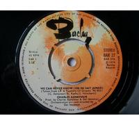 Charles Aznavour - CHARLES AZNAVOUR We Can never Know UK 7" 45